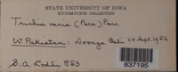 Image Associated With the Occurence